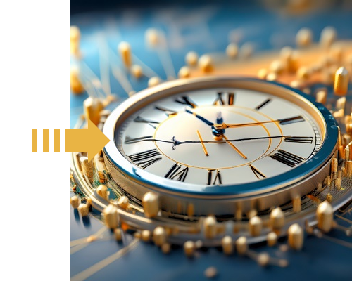 Timed Delivery Courier Services